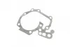 Помпа води Renault Kangoo/Megane/Logan/Scenic/Dacia Sandero 1.4/1.6 97- (B/B)(8лоп) UA63 BUGATTI PA7714 (фото 11)