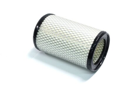 Фільтр повітряний RENAULT KANGOO 1.2I, TWINGO 1.1I, 1.2I (ENG. D7F) 5/96-> -ua CHAMPION CAF100434C