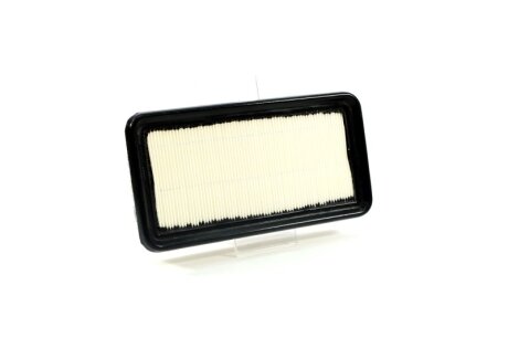 Фільтр повітряний HYUNDAI ACCENT 05-, KIA RIO 05- -ua CHAMPION CAF100873P