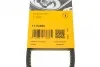 Реминь генератора VW Caddy/Golf/Passat 1.6-2.0 91-99/Seat Ibiza/Toledo 1.6/2.0 93-02 UA63 Contitech 11,5X685Ld (фото 6)