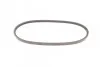 Ремінь генератора VW Caddy/Golf/Passat/Polo 1.4-2.0 91-02/Seat Alhambra/Ibiza 91-10 (755x1 (opt-om) Contitech 11,5X755Ld (фото 2)