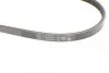 Ремінь генератора Hyundai Elantra/ Matrix 1.8 01-10/ Nissan Micra 1.0-1.4 02-10/ Note 1.4 06-12 UA63 Contitech 3PK670 (фото 3)