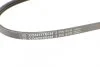 Ремінь генератора Hyundai Elantra/ Matrix 1.8 01-10/ Nissan Micra 1.0-1.4 02-10/ Note 1.4 06-12 UA63 Contitech 3PK670 (фото 4)