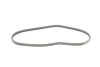 Ремінь генератора Mazda 3/6/CX-3/CX-5 2.0 11- CONTINENTAL (opt-om) Contitech 3PK798 ELAST (фото 2)