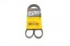 Ремень поликлиновой (Пр-во ContiTech) 4PK1022ELAST C.I.U Contitech 4PK1022 ELAST (фото 1)