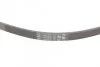 Ремень поликлиновой (Пр-во ContiTech) 4PK1022ELAST C.I.U Contitech 4PK1022 ELAST (фото 3)