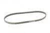 Ремінь генератора Subaru Forester/Impreza/Legacy/Outback 2.0/2.5AWD/WRX 08- CONTINENTAL (opt-om) Contitech 4PK826 ELAST (фото 5)