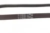 Поликлиновой ремень (Пр-во ContiTech) 4PK850ELAST Contitech 4PK850 ELAST (фото 3)