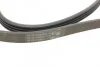 Полікліновий ремінь (Вир-во ContiTech) 4PK860ELAST Contitech 4PK860 ELAST (фото 3)