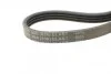 Полікліновий ремінь (Вир-во ContiTech) 4PK860ELAST Contitech 4PK860 ELAST (фото 4)