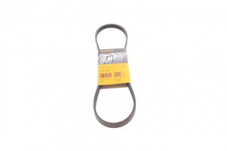 Ремінь полікліновий Contitech 4PK875