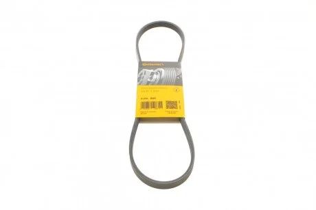 Ремінь полікліновий (Вир-во ContiTech) Contitech 4PK895