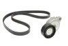 Роликовий модуль натягувача ременя (ролик, ремінь) VOLVO 5PK1121EXTRAK1-ua Contitech 5PK1121 EXTRA K1 (фото 1)