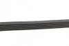 Комплект ременя генератора Renault Clio/Megane/Scenic/Nissan Almera/Micra/Kubistar 1.5 dCi 03- UA63 Contitech 5PK1135K2 (фото 2)