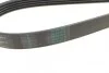 Комплект ременя генератора Renault Clio/Megane/Scenic/Nissan Almera/Micra/Kubistar 1.5 dCi 03- UA63 Contitech 5PK1135K2 (фото 3)