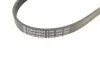 Полікліновий ремінь (Вир-во) Contitech 5PK1260 (фото 4)