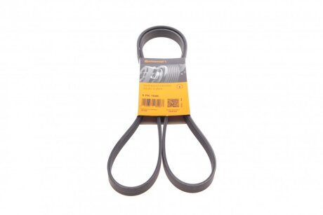 Ремінь полікліновий Contitech 5PK1646