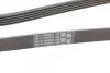 Ремінь полікліновий (Вир-во ContiTech) Contitech 5PK2060 (фото 3)