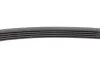 Ремінь генератора поліклиновий CONTINENTAL Contitech 5PK628 ELAST (фото 4)