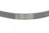 Ремінь полікліновий (Вир-во ContiTech) 5PK868ELAST Contitech 5PK868 ELAST (фото 3)