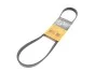 CONTINENTAL Contitech 5PK926 ELAST (фото 1)