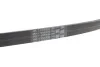 CONTINENTAL Contitech 5PK926 ELAST (фото 2)