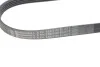 CONTINENTAL Contitech 5PK926 ELAST (фото 3)