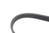 CONTINENTAL Contitech 5PK926 ELAST (фото 4)