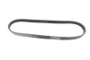 CONTINENTAL Contitech 5PK926 ELAST (фото 5)