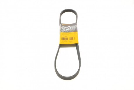 Ремінь полікліновий Contitech 5PK962