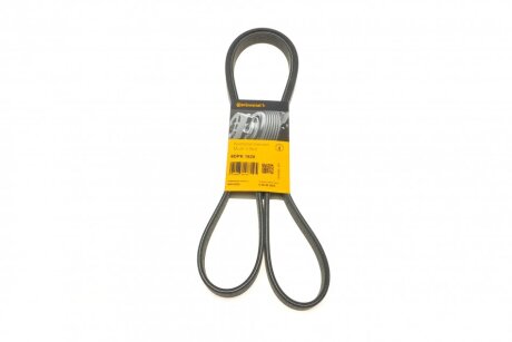 Ремінь полікліновий Contitech 6DPK1825