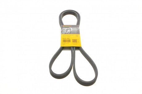 Ремінь полікліновий Contitech 6DPK1853