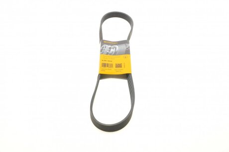 Полікліновий ремінь Contitech 6PK1010