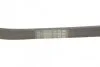 Ремінь полікліновий (Вир-во ContiTech) 6PK1019ELAST Contitech 6PK1019 ELAST (фото 3)