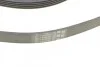 Реминь генератора Ford Focus 1.4/1.6i 03-/Volvo C30/S40/V50 1.6 05-12 (6PK1059 ELAST+5PK UA63 Contitech 6PK1059 ELAST T2 (фото 4)