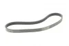 Реминь генератора Ford Focus 1.4/1.6i 03-/Volvo C30/S40/V50 1.6 05-12 (6PK1059 ELAST+5PK UA63 Contitech 6PK1059 ELAST T2 (фото 5)