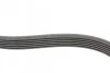 Реминь генератора Ford Focus 1.4/1.6i 03-/Volvo C30/S40/V50 1.6 05-12 (6PK1059 ELAST+5PK UA63 Contitech 6PK1059 ELAST T2 (фото 6)