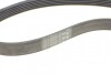 Ремінь генератора Ford Focus 1.4/1.6i 03-/Volvo C30/S40/V50 1.6 05-12 (6PK1059 ELAST+5PK UA63 Contitech 6PK1059 ELAST T2 (фото 8)