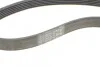 Реминь генератора Ford Focus 1.4/1.6i 03-/Volvo C30/S40/V50 1.6 05-12 (6PK1059 ELAST+5PK UA63 Contitech 6PK1059 ELAST T2 (фото 8)