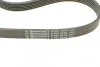 Комплект поліклінового ременя (Вир-во ContiTech) Contitech 6PK1070K1 (фото 3)