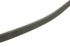 Ремінь поліклиновий PSA 2.0HDI/09- 6PK1073EXTRA Contitech 6PK1073 EXTRA (фото 3)