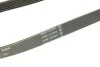 Ремінь поліклиновий PSA 2.0HDI/09- 6PK1073EXTRA Contitech 6PK1073 EXTRA (фото 4)
