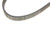 Ремінь генератора поліклиновий CONTINENTAL Contitech 6PK1090 ELAST (фото 4)
