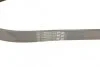 Ремень поликлиновой (Пр-во ContiTech) Contitech 6PK1100 (фото 2)