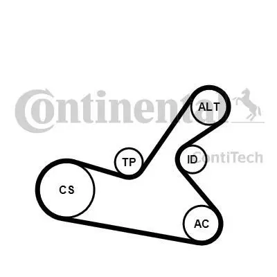 Комплект (ремінь + ролики) Contitech 6PK1125K1 (фото 1)
