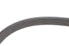 Ремінь генератора BMW 3 (G20/G80/G28)/5 (G30/F90)/X5 (G05/F95) 2.0D B47 16- CONTINENTAL (opt-om) Contitech 6PK1157 EXTRA (фото 4)