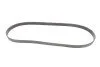 Ремінь генератора BMW 3 (G20/G80/G28)/5 (G30/F90)/X5 (G05/F95) 2.0D B47 16- CONTINENTAL (opt-om) Contitech 6PK1157 EXTRA (фото 5)