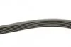 Полікліновий ремінь AUDI 3.2 V6 quattro 07/03-05/09 (Вир-во) C.I.U Contitech 6PK1240 (фото 2)