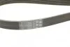 Полікліновий ремінь AUDI 3.2 V6 quattro 07/03-05/09 (Вир-во) C.I.U Contitech 6PK1240 (фото 4)
