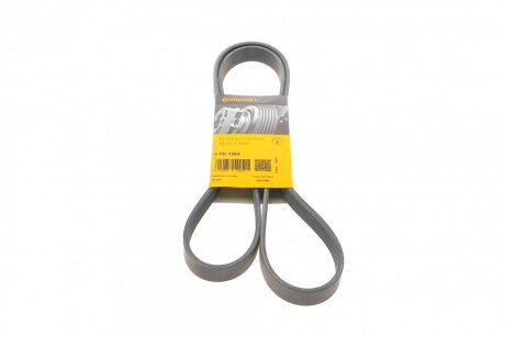 Ремінь полікліновий Contitech 6PK1564